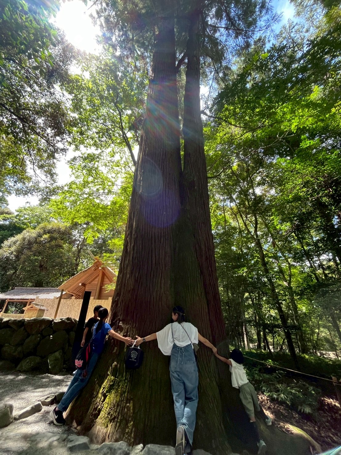 伊勢志摩リトリートの自然体験や交流 4